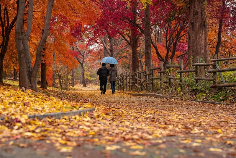 Park Strolls